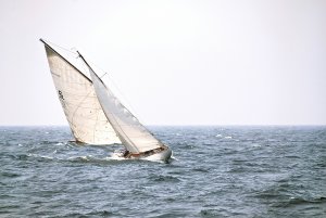 alfonso escu HL8imiWBvjU unsplash