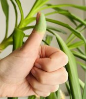 green thumb